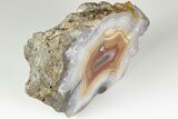 Polished Banded Laguna Agate with Wegeler Effect - Mexico #193181-2
